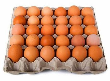 14 000 яйца дарява „Кокоимпекс“ на персонала на МБАЛ „Д-р Братан Шукеров“
