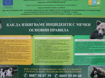 РИОСВ – Смолян стартира разяснителна кампания за предпазване от нападение на мечки