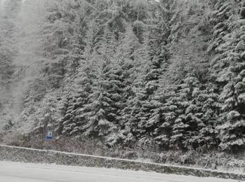 Сняг вали във високите части на Смолянска област