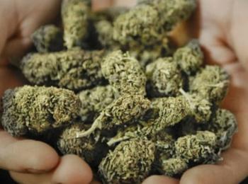Откриха марихуана в раницата на 34-годишен в Пампорово