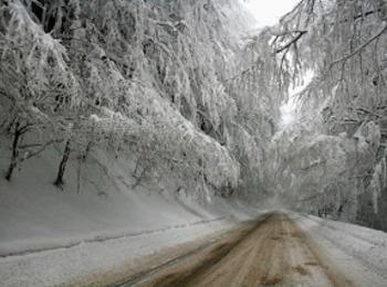 АПИ: Обилен снеговалеж на пътя Батак-Доспат