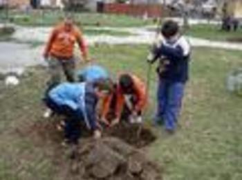 Ученици ще засадят 160 дръвчета в Смолян по повод празника на училището
