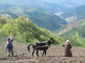 До 12 август приемат документи за програма за развитие на селските райони в Смолян 