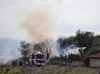 Стадо овце изгоряха при голям пожар в Смолянско село