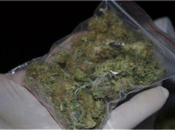Откриха марихуана при обиск на млад мъж в Рудозем