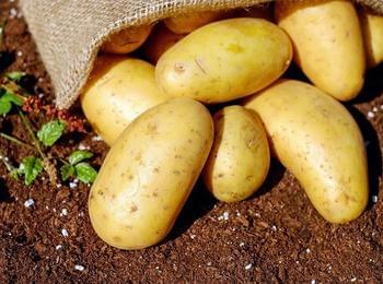  Финансовата подкрепа за картофопроизводителите през 2020 г. е в размер на 3706, 62 лв./ха