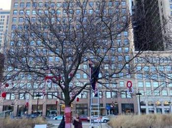 Снимка на деня! Второто дърво мартеница вече е центъра на Чикаго!
