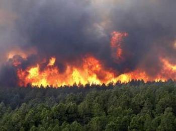  Повече от 2 300 горски служители дават денонощни дежурства заради риска от горски пожари