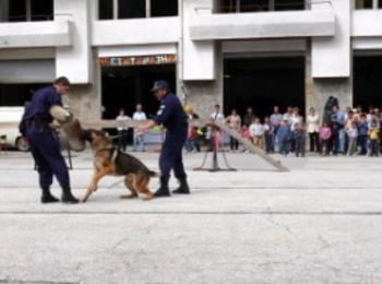  Атрактивна демонстрация на полицейски кучета от полицаи се проведе днес