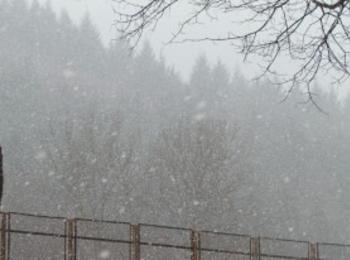 Първи сняг валя във високите части на Смолянска област 