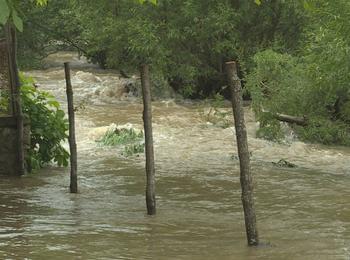Проливните дъждове през последното денонощие нанесоха щети в общините Баните, Рудозем и Мадан