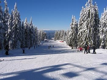 Пампорово отчита ръст на туристи от началото на ски сезона, курортът е сред малкото места в Европа с добри условия за ски