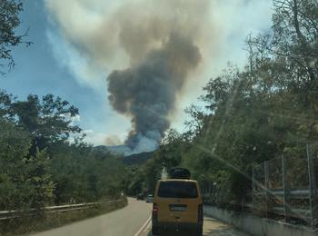 Пожар се разрази в Родопите, гори борова гора край село Хвойна