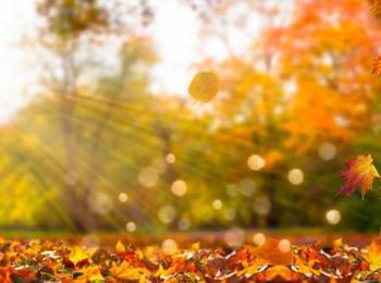 Прогноза за октомври: Какво време ни очаква