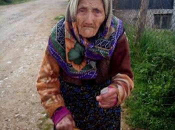105-годишна баба от с. Кожари не спира да работи