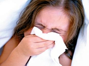 Смолян е сред областите заплашени от грипна епидемия