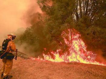16 пожара са възникнали през август в област Смолян