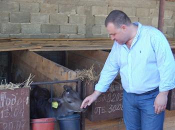 Министър Найденов ще иска отсрочка за кравефермите, които са ІІ и ІІІ категория 