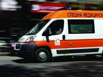 "Мерцедес" се блъсна в кон на пътя, пострада 5-годишно дете в автомобила