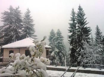 Сняг вали в курорта Пампорово