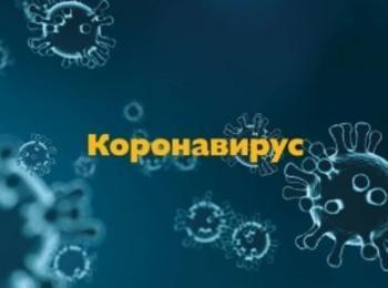 Първа жертва на коронавируса в България: Почина жената, настанена в "Пирогов"