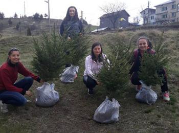  Ученици от с. Късак засадиха дръвчета в района на училището