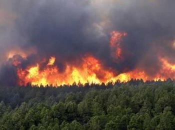 Опасност от пожари: Огнеборците гасиха 20 пожара за месец