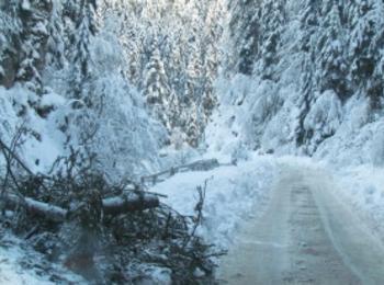 Нови снеговалежи се очакват в следващите 48 часа в Смолянско