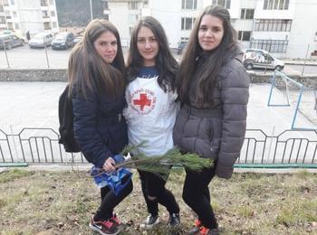 100 дръвчета за Мадан спечелиха ученици от СУ "Отец Паисий"