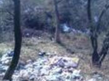 Екоинспекторите на община Смолян продължават проверките 