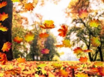 Какво време ни носи есента през новата седмица