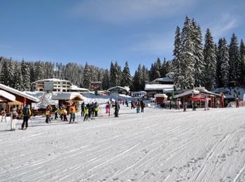 Перфектни условия за ски и туризъм в Пампорово