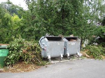 Зачестяват случаите на нерегламентирано изхвърляне на зелени и строителни отпадъци в кофите за смет в Смолян