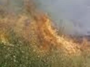 Два декара сухи треви и храсти изгоряха край Борино