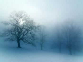Заради мъгла е намалена видимостта в Смолянско 