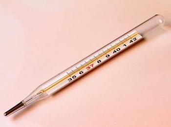  Два случая на свински грип са регистрирани в Смолянско