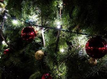 Коледната елха в Златоград грейна