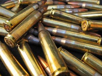 Полицаи иззеха 84 броя боеприпаси за огнестрелно оръжие без разрешително, при обиск на горска вила край Чепеларе