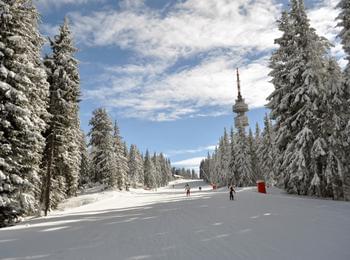 Ски зоната в Пампорово работи, условията за зимни спортове и туризъм са много добри