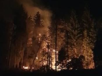 Пожар изпепели 5 дка иглолистна гора край смолянското село Кремене