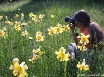 Фестивал на дивите цветя ще се проведе в Смолян от 21 - 29 юни 2014г.