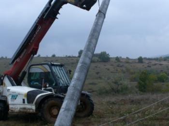 EVN България обезопаси над 340 стълба през 2011 г. с цел защита на птиците  