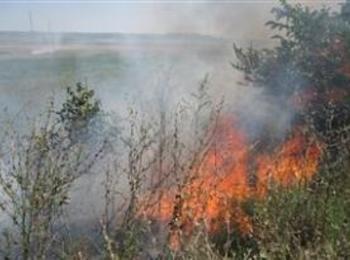 Пожар горя в нерегламентирано сметище в района на Борино