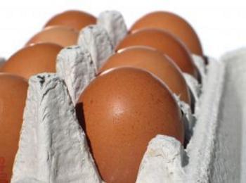 Възобновява се износът на яйца и млечни продукти за Турция