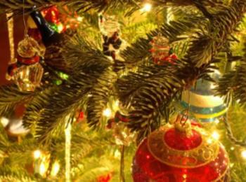  Светлините на коледната елха ще грейнат на 14 декември в Смолян