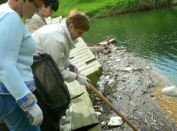 Екоексперти провериха сигнал за мъртва риба в река Арда