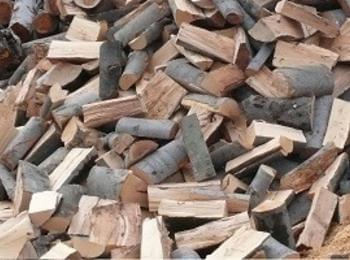  С 40 процента поевтиня падналата дървесина за огрев в Смолянско