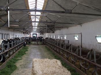 България ще поиска още 18 месеца отсрочка за преструктуриране на млечните ферми 