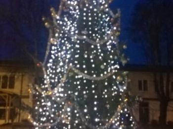  Коледната елха грейна и в община Доспат