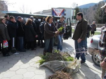Зам.-кметът Георги Даскалов си взе елхичка и обеща да я засади